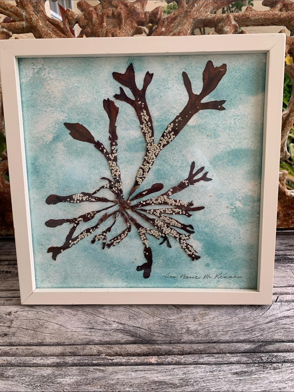 Coastal Seaweed Mixed Media Wall Art in Aqua and Brown by Ann Marie McKenna
